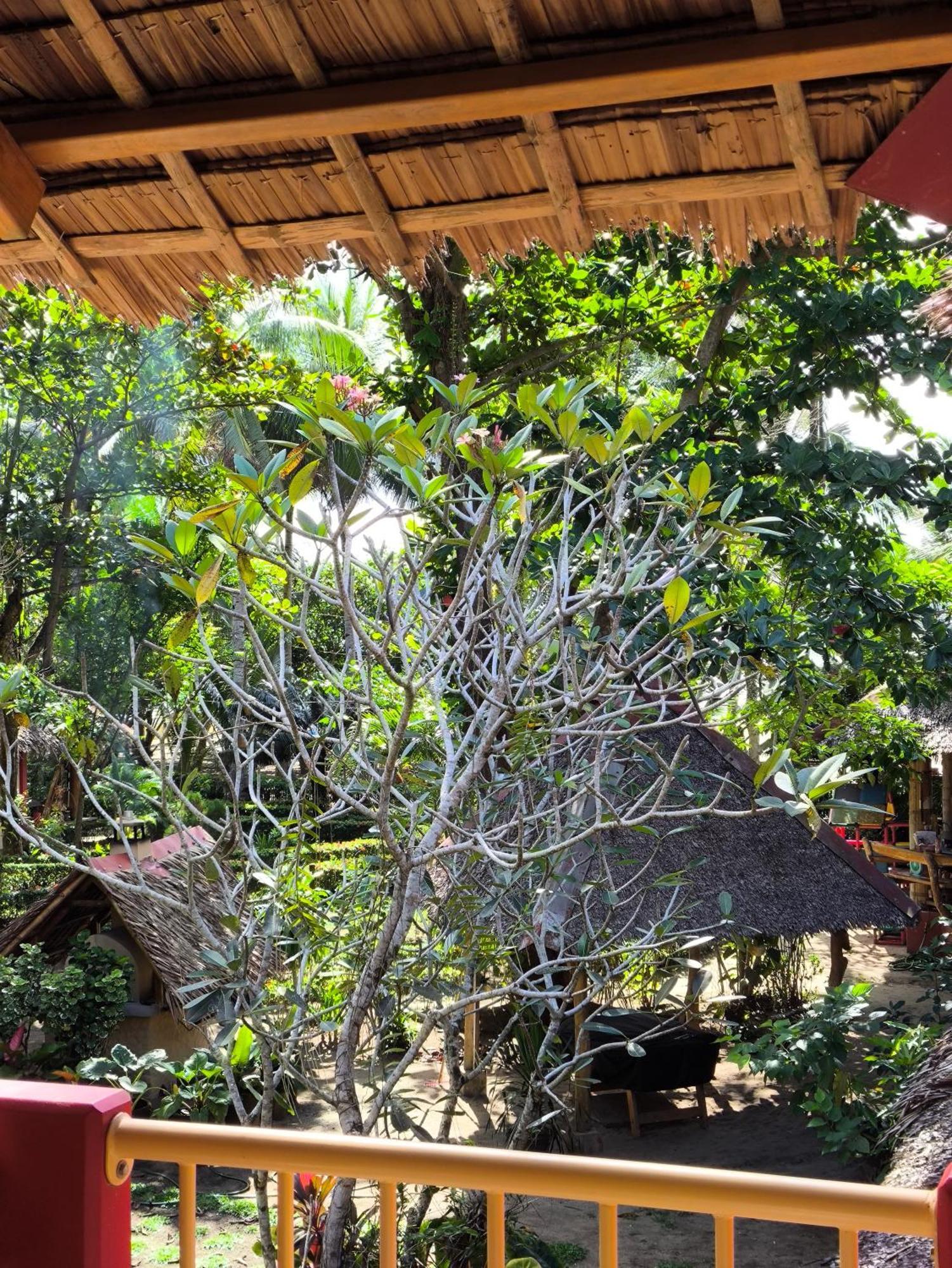 Sulu Sunset Beach Resort Nauhang المظهر الخارجي الصورة